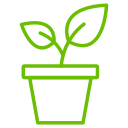 potted-plant